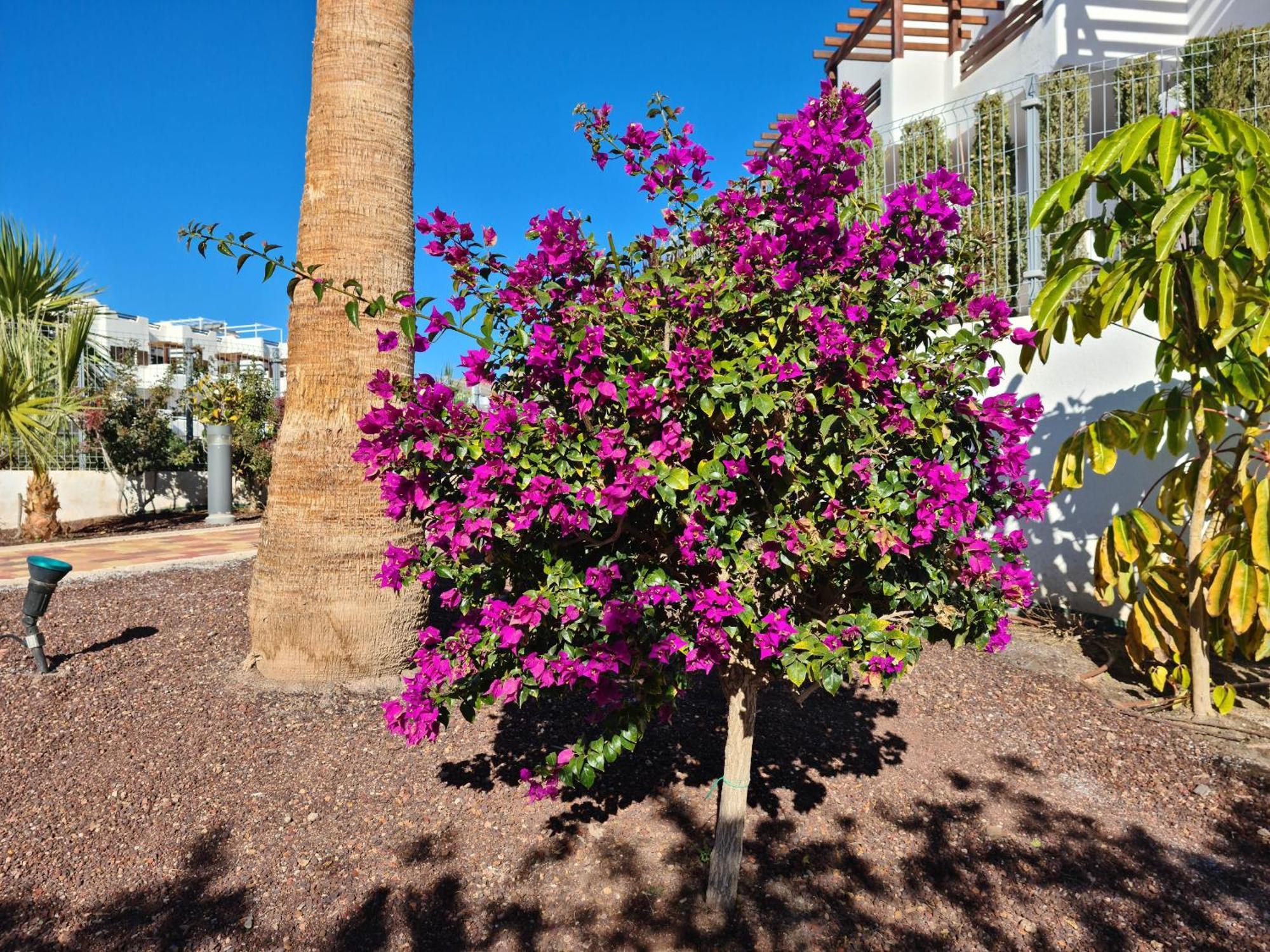Appartamento El Sueno San Juan de los Terreros Esterno foto