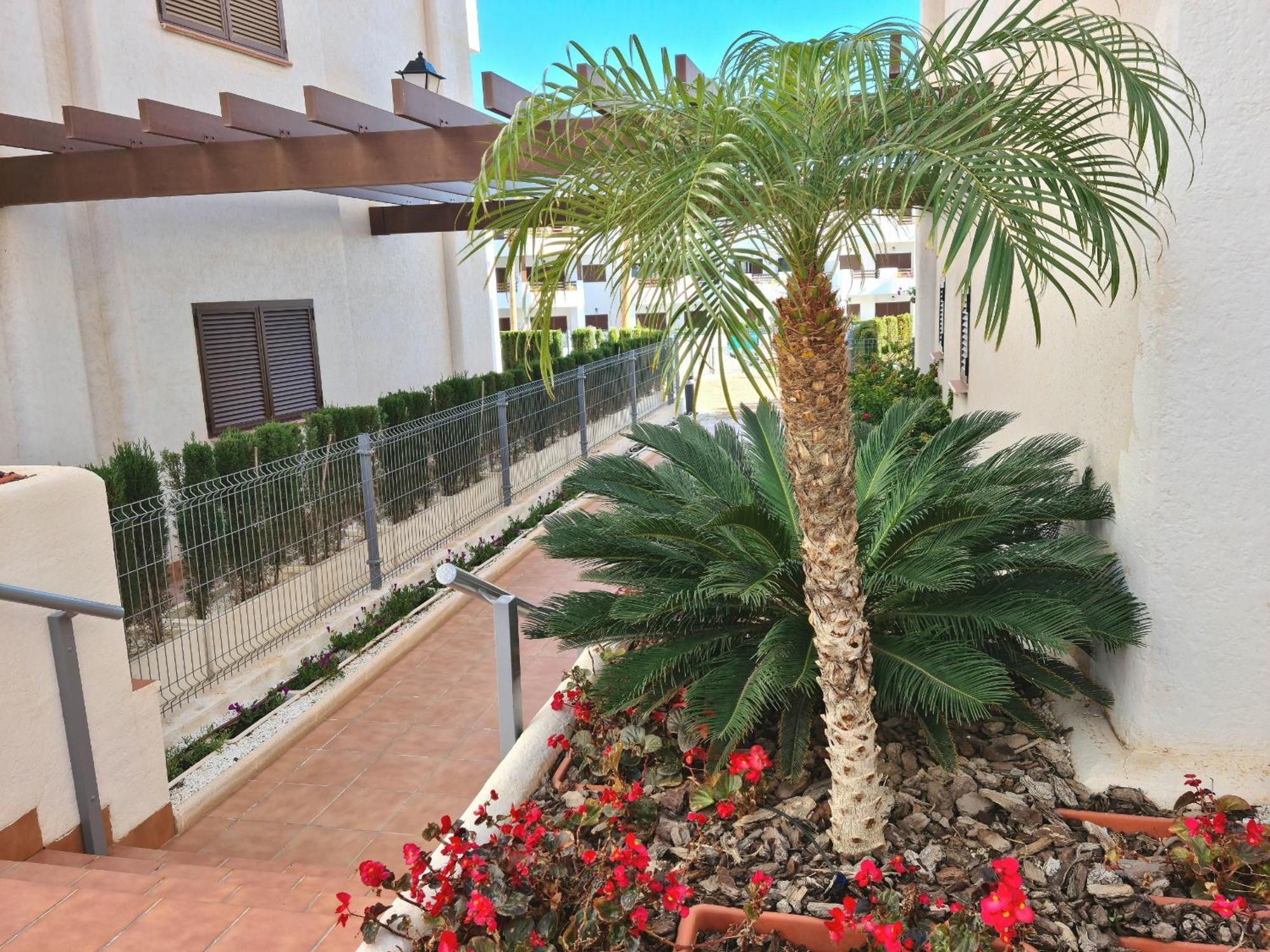 Appartamento El Sueno San Juan de los Terreros Esterno foto
