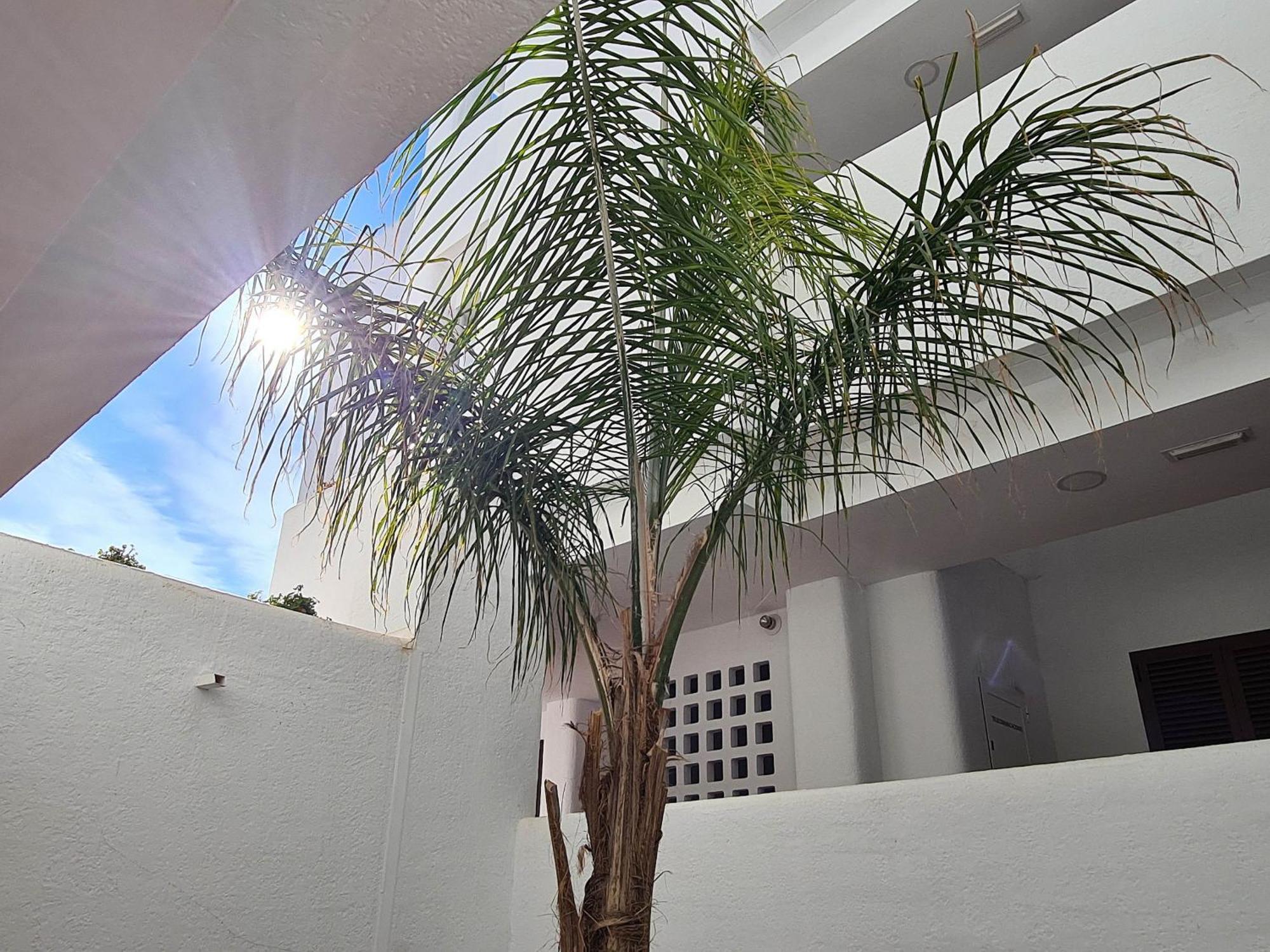 Appartamento El Sueno San Juan de los Terreros Esterno foto